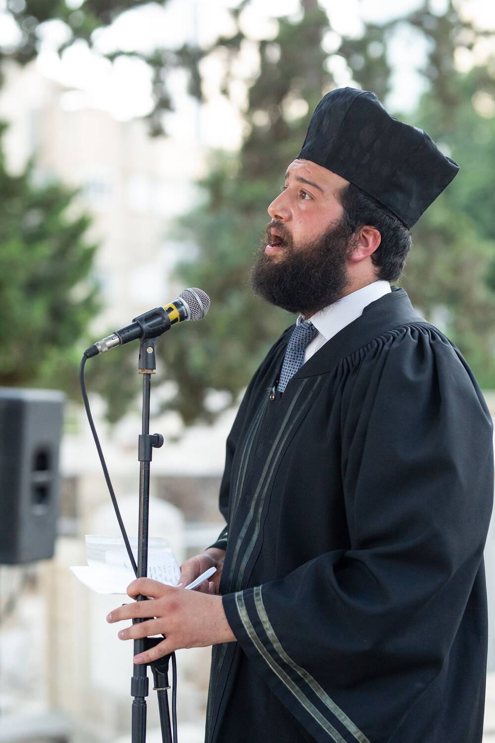 צבי גרינהיים