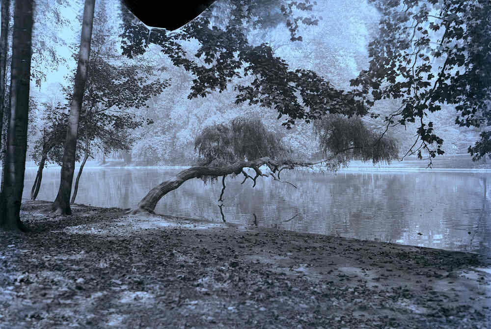 עבודתה של עדי עוז-ארי מציגה נוף צמרות עצים על גדות מקווה מים הצבועים בכחול חלומי כאשר גליצ' או קרע שחור מפר את השקט המיסטי העולה מן הצילום
