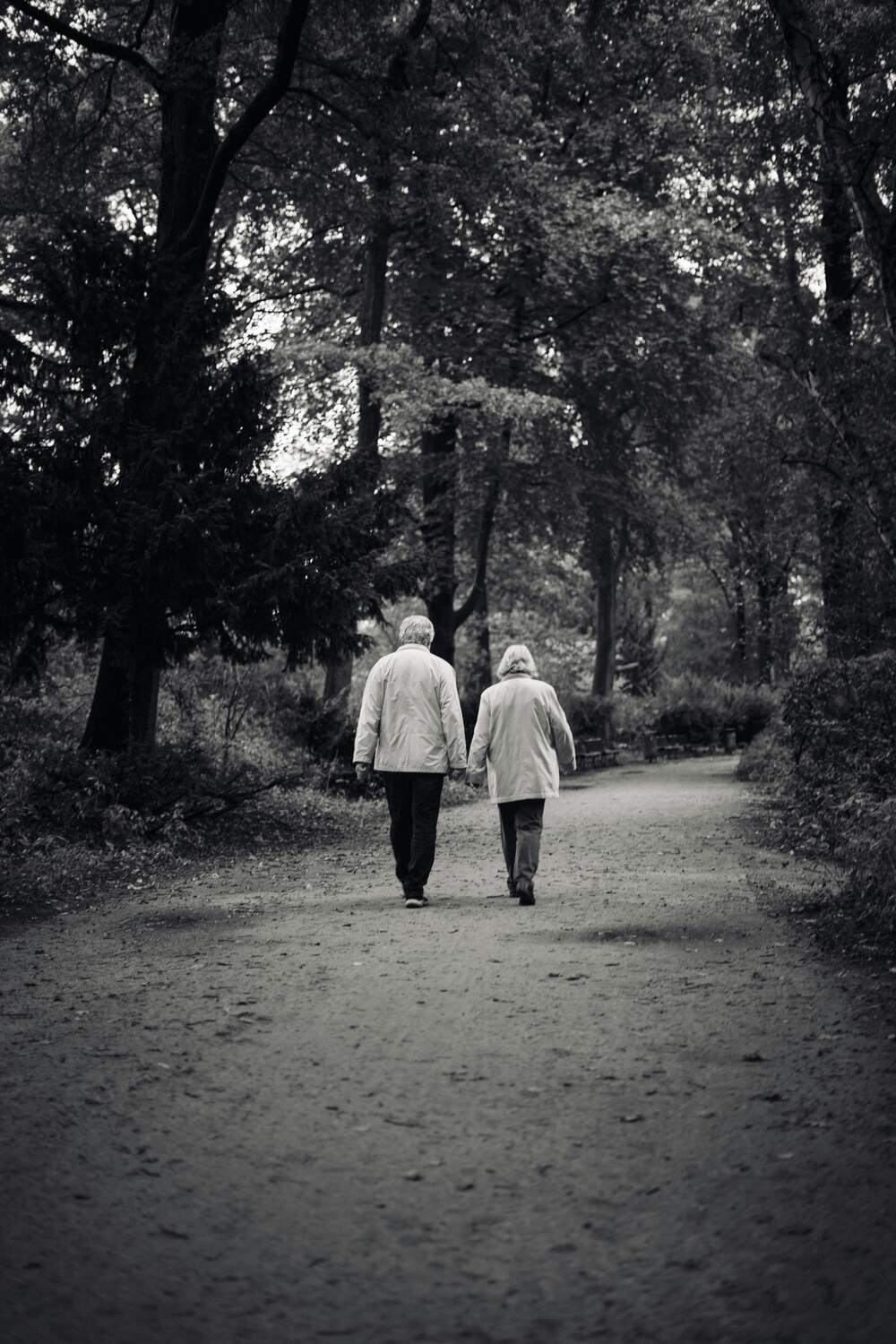 שני זקנים צועדים