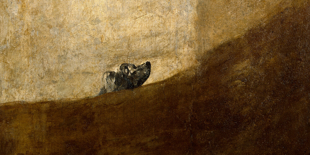 ציור של כלב